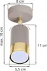 Spot de plafond Hugo cachemire doré 1 lampe GU10 – spot Voir les images du produit 6
