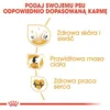 Cibo secco per cani Royal Canin Adult Cocker - 12 kg Anteprima dell’immagine prodotto 5