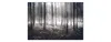 Muralo Fototapete Wald 135 (B) x 90 (H) cm Vlies Tapete Produktbild-Vorschau 1