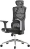 A black ergonomic office chair with a headrest and lumbar support is shown from a three-quarter rear view against a white background. Náhled obrázku produktu