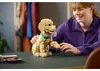 LEGO Icons Cucciolo Di Golden Retriever 11384 Voir les images du produit 21