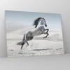 Bilder auf glas - Pferd Tier Natur - 70x50cm - Glasbilder - Produktbild-Vorschau 4