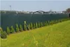 A dark green privacy screen fence with a row of small evergreen trees in front of it, in a grassy yard with houses in the background. Náhled obrázku produktu