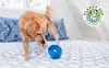 Planet Dog Orbee Tuff Lil Snoop royalblau Produktbild-Vorschau 8