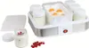 A yogurt maker with several jars and a central compartment with fruit. Anteprima dell’immagine prodotto