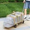 Opvouwbare kattentransportbox voor katten en kleine honden, Productafbeelding-voorbeeld 7