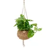 Kokodama Monstera adansonii Monkey Mask (L) Náhled obrázku produktu 1