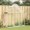 vidaXL Kas met funderingsframe, zilverkleurig, 169x58x195 Productafbeelding-voorbeeld 2