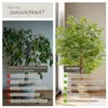tectake® Künstlicher Ficusbaum Fida verschiedene Größen Produktbild-Vorschau 4