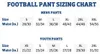 All Star FBP1A Adult 14 Slot Poly Pant L Silver American Produktbild-Vorschau 2