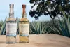 Teremana Tequila Blanco 0,7L (40% Vol) Dwayne The Rock Produktbild-Vorschau 4