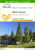 SAFLAX  - Abete d'acqua  - 60 semi - Con substrato - Anteprima dell’immagine prodotto 1