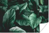 MuchoWow® Poster Dschungel - Blätter - Tropisch - Pflanzen Produktbild-Vorschau 1