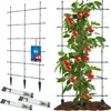 KOTARBAU® Supporto modulare per rampicanti, set da 3 pezzi, Anteprima dell’immagine prodotto 1