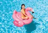 Intex RideOn Flamingo - nadmuchiwane pływające zwierzę / Podgląd zdjęcia produktu 25