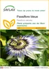 SAFLAX  - Passiflore bleue - 25 graines - Passiflora Voir les images du produit 1