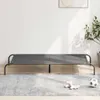 vidaXL Podwyższone legowisko dla psa szare 150x90x20 cm Podgląd zdjęcia produktu 2