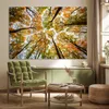 MuchoWow® Poster Wald - Bäume - Herbst 180x120 cm - Produktbild-Vorschau 2