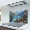 Coloray Herdabdeckplatte 80x52 cm Schneidebrett Produktbild-Vorschau 3
