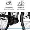 Zündapp X200 E Bike Damenfahrrad 155 - 180 cm Stadtrad Produktbild-Vorschau 5