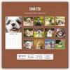 Shih Tzu 2027 - 16-Monatskalender Produktbild-Vorschau 2