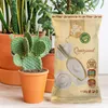 A bag of Dr.Soil Quartzsand is shown next to a potted cactus and other plants. Podgląd zdjęcia produktu