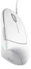 Trust Verto mouse Right-handed USB Type A Optical 1600 DPI Voir les images du produit 14