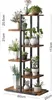 A multi-tiered plant stand with various potted plants on each shelf, set against a white background. Anteprima dell’immagine prodotto