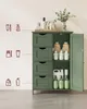 A green storage cabinet filled with various bottles and containers, set against a light background with illustrative icons on the left. Náhled obrázku produktu