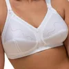 Triumph Damen Bügelloser BH Doreen + Baumwolle - WHITE - Produktbild-Vorschau 4