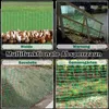 YARDIN Bariérový plot Plot pro drůbež Bezpečnostní síť Náhled obrázku produktu 7