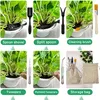 Conjunto completo de herramientas para bonsái, con 13 Vista previa de la imagen del producto 4