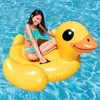 Intex Papera Cavalcabile 147x147x81 Cm Anteprima dell’immagine prodotto 7
