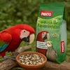 PANTO Papageienfutter Spezial mit Pluramin (ohne Nüsse) Produktbild-Vorschau 3