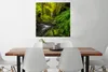 MuchoWow® Poster Schönes Bild vom Dschungel 75x75 cm - Wand Produktbild-Vorschau 2