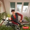 VELUX Original Nature Collection Dachfenster Produktbild-Vorschau 5