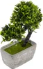 Künstliche Bonsai-Pflanze im modernen Betontopf – Produktbild-Vorschau 2
