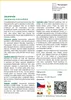 SAFLAX - jacaranda - Jacaranda mimosifolia - 50 Semena Náhled obrázku produktu 3