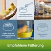 PANTO Kanarienfutter mit Pluramin® 12,5g - Futtermischung Produktbild-Vorschau 4
