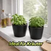 5 Blumentöpfe Schwarz Blumenvase Übertöpfe Pflanztop Set Produktbild-Vorschau 8