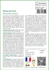SAFLAX  - Roseau de Chine - 200 graines - Miscanthus Voir les images du produit 3