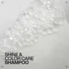 Redken Acidic Color Gloss Shampoo 300 ml Produktbild-Vorschau 8