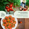 Kit de graines de tomates(10 variétés) - Kit de culture de Voir les images du produit 3