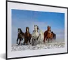 MuchoWow® MuchoWow® Gerahmtes Poster Galoppierende Pferde Produktbild-Vorschau 1
