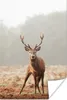 MuchoWow® Poster Hirsche - Wald - Nebel 80x120 cm - Produktbild-Vorschau 1