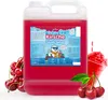 Belissia Slush Eis Sirup 5L Konzentrat | Kirsch Geschmack | Produktbild-Vorschau 1