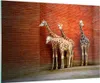 Bilder auf glas - Tiere Giraffen Zoo Familie - 100x70cm - Produktbild-Vorschau 1