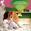 Baviette Deodorante per gatti 500 ml spray – Anteprima dell’immagine prodotto 5