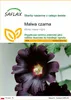 SAFLAX - Malwa czarna - 100 Nasiona - Alcea rosea nigra Podgląd zdjęcia produktu 1