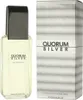 Antonio Puig Quorum Silver toaletná voda 100ml Náhľad obrázku produktu 4